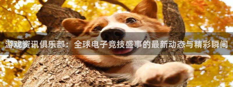 手机版蓝冠娱乐客户端下载：游戏资讯俱乐部：全球电子竞技盛事的