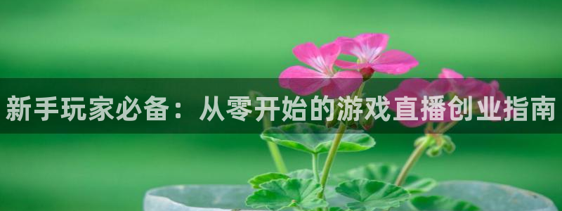蓝冠娱乐官网：新手玩家必备：从零开始的游戏直播创业指南