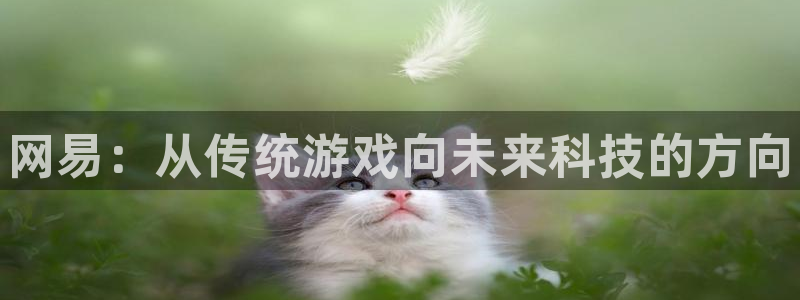 蓝冠娱乐网页版地址：网易：从传统游戏向未来科技的方向
