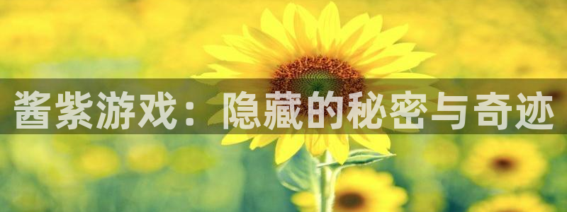 蓝冠娱乐手机网页版登录：酱紫游戏：隐藏的秘密与奇迹
