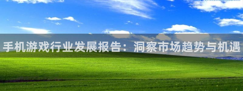 蓝冠娱乐开户测速：手机游戏行业发展报告：洞察市场趋势与机遇