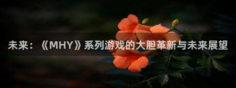 蓝冠娱乐直属：未来：《MHY》系列游戏的大胆革新与未来展望