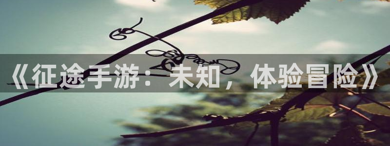 蓝冠娱乐平台官网客服电话：《征途手游：未知，体验冒险》
