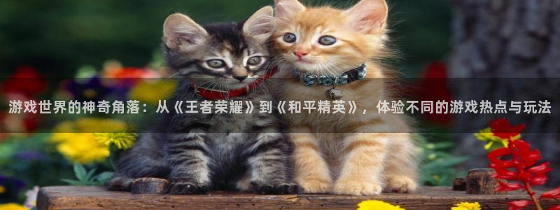 蓝冠娱乐主管