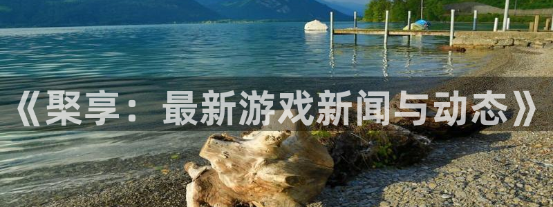 蓝冠娱乐网页登录入口官网：《棸享：最新游戏新闻与动态》