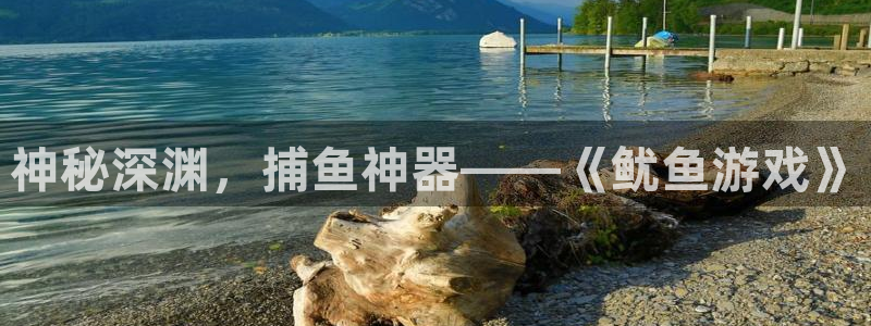 蓝冠娱乐登录：神秘深渊，捕鱼神器——《鱿鱼游戏》