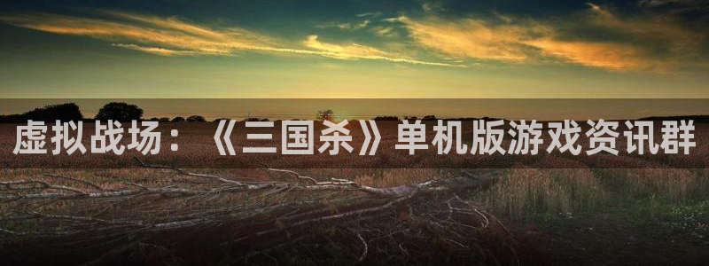 蓝冠娱乐平台官网客服电话：虚拟战场：《三国杀》单机版游戏资讯