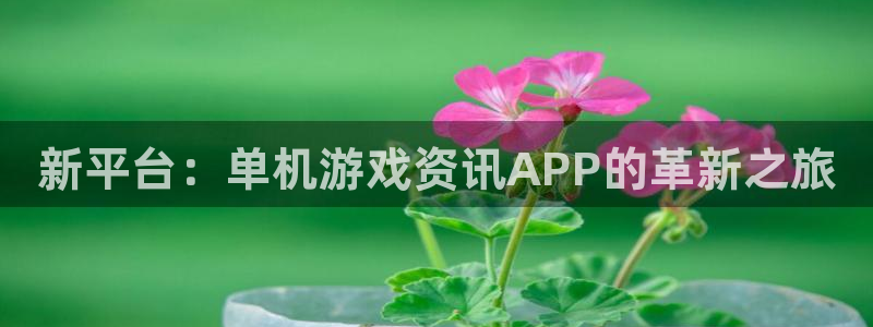 蓝冠娱乐网页版地址：新平台：单机游戏资讯APP的革新之旅