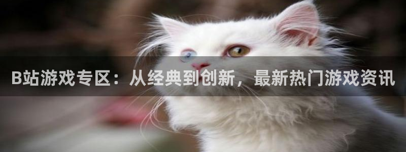 蓝冠娱乐平台官网入口：B站游戏专区：从经典到创新，最新热门游
