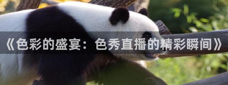 小九的视频：《色彩的盛宴：色秀直播的精彩瞬间》