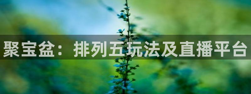 nba小九直播免费观看直播在线：聚宝盆：排列五玩法及直播平台