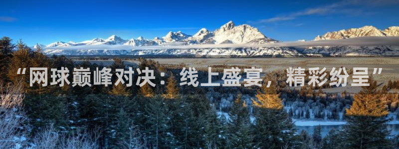 小九体育直播：“网球巅峰对决：线上盛宴，精彩纷呈”