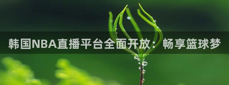 小九体育直播官网：韩国NBA直播平台全面开放：畅享篮球梦