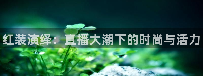 小九nba在线直播免费观看直播高清：红装演绎：直播大潮下的时尚与活力